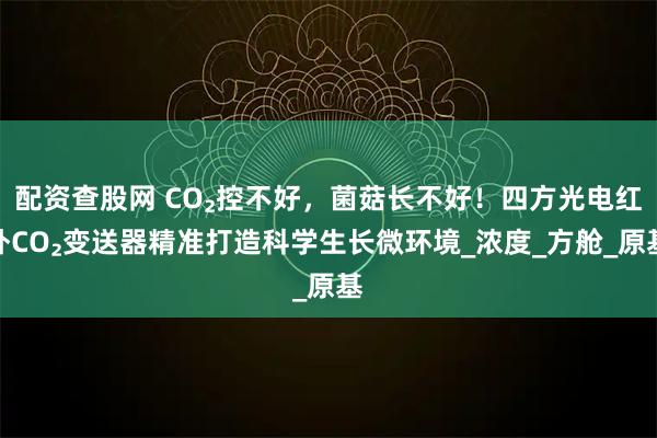 配资查股网 CO₂控不好，菌菇长不好！四方光电红外CO₂变送器精准打造科学生长微环境_浓度_方舱_原基