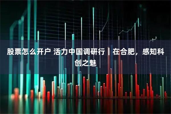 股票怎么开户 活力中国调研行｜在合肥，感知科创之魅