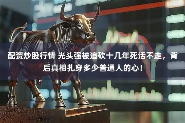 配资炒股行情 光头强被追砍十几年死活不走，背后真相扎穿多少普通人的心！
